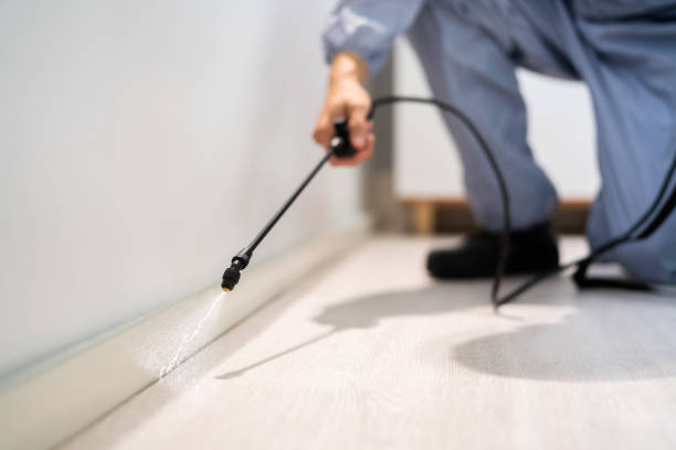 Bed Bug Pre-Treatment Preparation Assessment in Westby