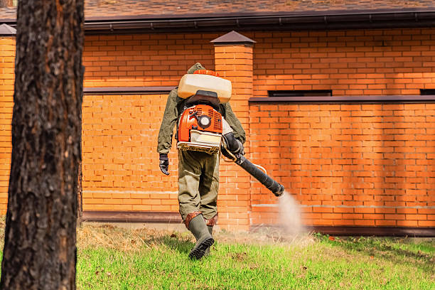 Bed Bug Clearance Verification and Documentation in Westby